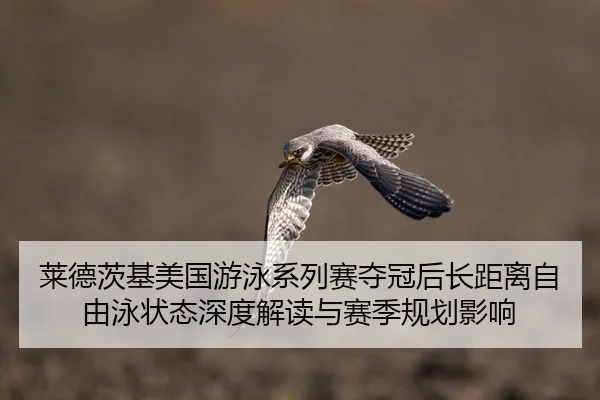莱德茨基美国游泳系列赛夺冠后长距离自由泳状态深度解读与赛季规划影响