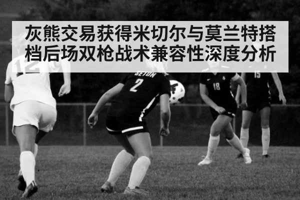 灰熊交易获得米切尔与莫兰特搭档后场双枪战术兼容性深度分析